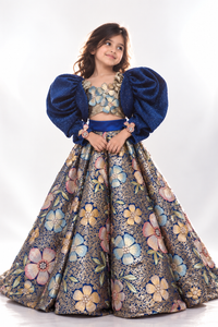 Blue Embroidered Lehenga - BK Gayatri Official