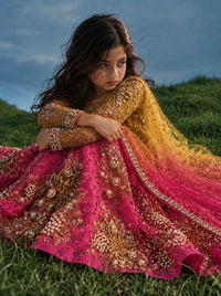 Mehrunissa Lehenga