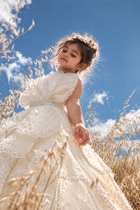 Luxurious Swarovski Petal Dress - BK Gayatri Official