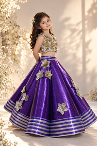 Metallic Lehenga - BK Gayatri Official