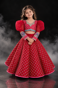 Royal Vintage Lehenga - BK Gayatri Official