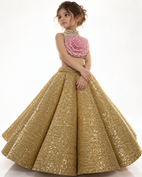 Classic  Rose Lehenga - BK Gayatri Official