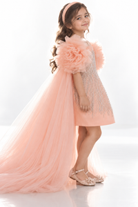 Éclat Rosé Crystal Cape Dress - BK Gayatri Official