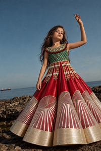 Jewel Metallic Lehenga