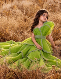 Luxurious Swarovski Petal Dress - BK Gayatri Official