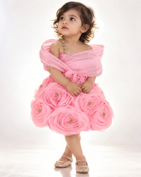 Knee Length Rose Dress - BK Gayatri Official
