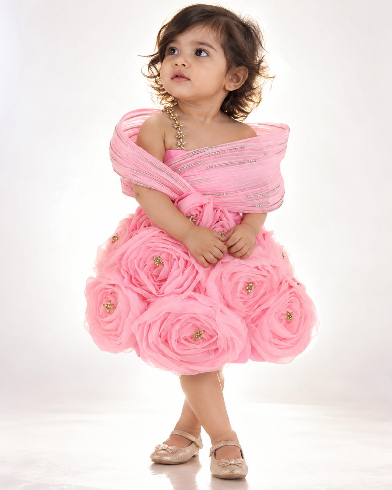 Knee Length Rose Dress