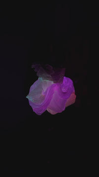Couture LED Fabric Knee Length Dress