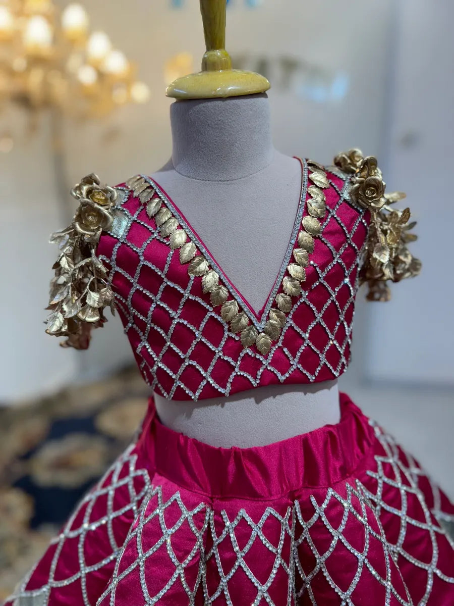Magenta Hand Embroidered Lehenga
